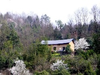 全福河:茶香花艳漫山坡