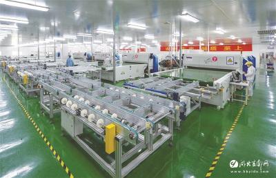 【三峡日报】宜都高新技术产业园区：聚焦产业升级 积蓄发展动能