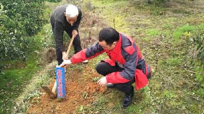 新鲜！耕地挂上“专家号”，给土壤做“体检”