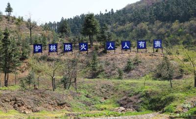 谭建国带队检查清明期间森林防火工作