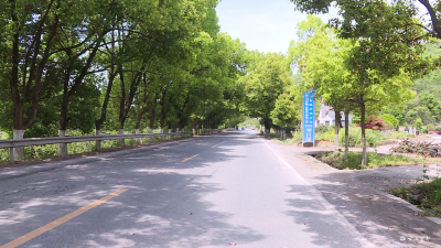 【项目进行时】路景交融 宜都这条道路即将大变样
