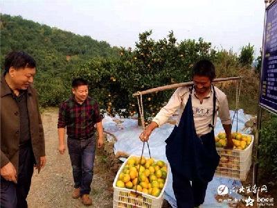 【三峡日报】廖剑波：百折不挠种养路 职业农民大踏步（图）