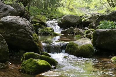 走进夏家湾村——带你了解这里的山和水~