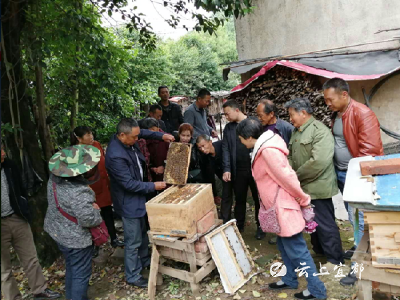 人勤蜂更忙 巩固脱贫奔小康