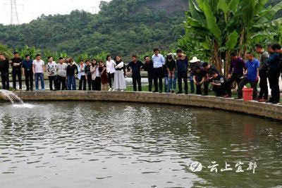 不负春光好时节  乡村振兴正当时