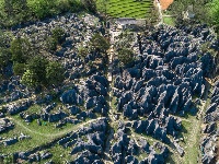 古奥陶纪地层博物馆——奥陶纪石林景区