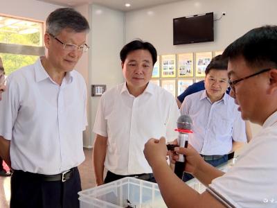 王建鸣来我市调研时强调 持续打好防范化解金融风险攻坚战 营造良好金融生态环境