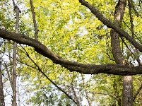 古奥陶纪地层博物馆——奥陶纪石林景区