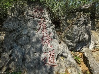 古奥陶纪地层博物馆——奥陶纪石林景区