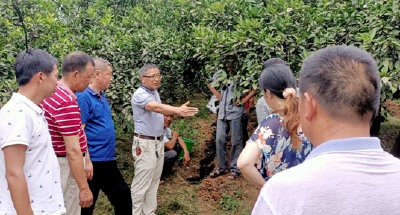 泉水垱村：农业培训进村入户