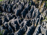 古奥陶纪地层博物馆——奥陶纪石林景区