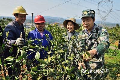 【不忘初心 牢记使命】周海桥：村官演绎精彩人生