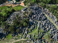 古奥陶纪地层博物馆——奥陶纪石林景区