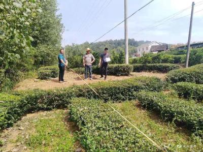 荷叶溪村：把扶贫之路铺到田间地头