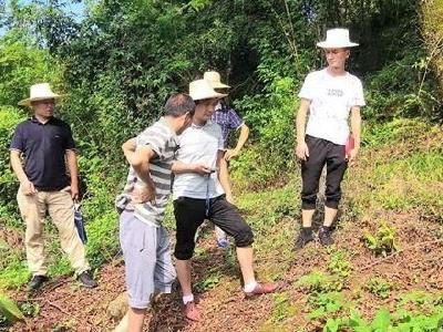 荷叶溪村：烈日下最美的身影