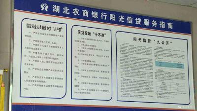 【诚信建设万里行】宜都农商行：开“通道” 设“路障” 助力诚信宜都建设