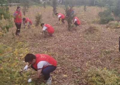 【不忘初心 牢记使命】活跃在田间地头的“红马甲”