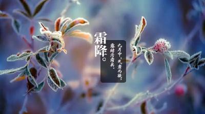 今日霜降