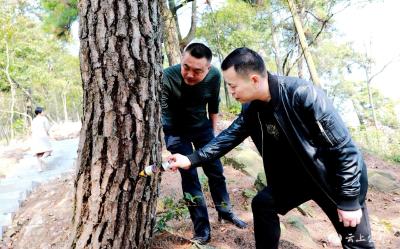 送“防火经” 筑“安全网”“资源卫士”护林防火在行动