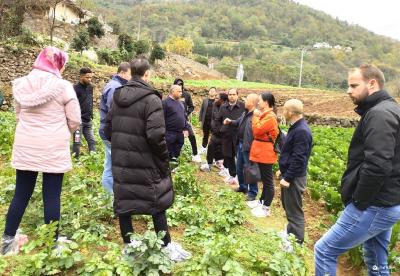 土豆架起国际桥——六国农业生产专家在白家淌村考察