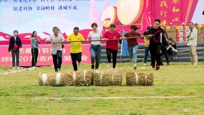 松木坪镇举办第五届农民运动会