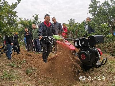 “铁帮手”进橘园  橘农省心省力乐开颜