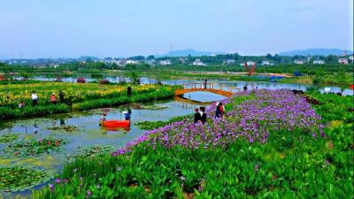 把试点建成示范 打造山水林田湖草生态保护修复“样板”