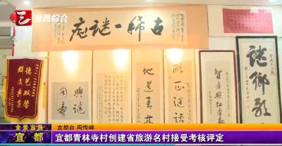 【三峡广电】宜都青林寺村创建省旅游名村接受考核评定