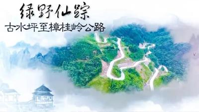 都说最美的风景在路上！走，一起出发吧！
