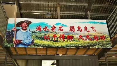 《2019·习近平的信札》之下党乡亲篇丨此情绵长暖茶乡