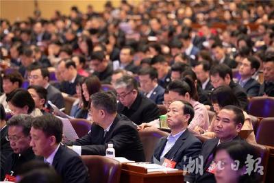 湖北省十三届人大三次会议举行第二次全体会议