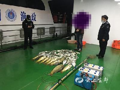 疫情期间还电捕鱼？严惩！