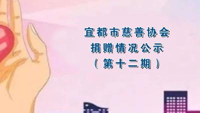 宜都市慈善协会关于接受捐赠情况的公示（第十二期）