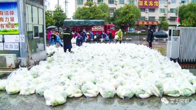 宜都为城市居民免费发放5.4万个蔬菜“礼包”  