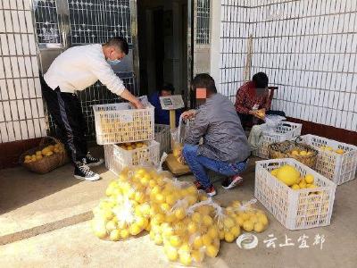 “线上”吆喝，“线下”跑腿，90后村干部变身“柠檬小哥”