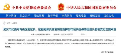 武汉市纪委对青山区副区长骆蓉党纪立案审查