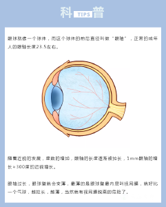 家长速看 │ 上网课怎样不伤眼？眼科专家开出“护眼方”！