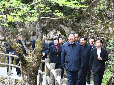 重温习近平殷殷嘱托 共建美丽家园