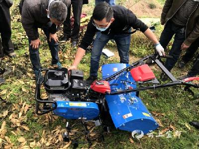 高坝洲镇：田园管理机柑橘园里“显身手”