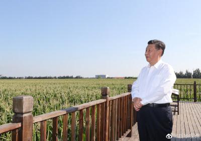 习近平：一定要采取有效措施保护好黑土地
