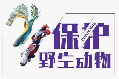 市市场监管局：编制《关于陆生、水生野生动物保护监督指南》为市场监管提供法律支撑