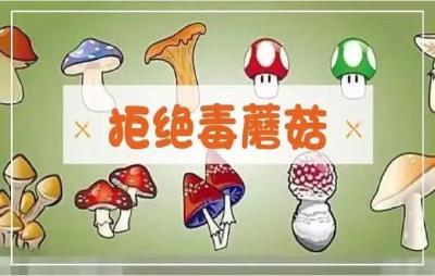 雨季要警惕！这几种常见的毒蘑菇要认清！千万别食用！
