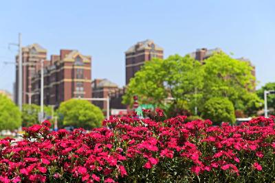余红岚来我市督导精神文明建设工作