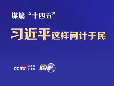 谋篇“十四五”  习近平这样问计于民
