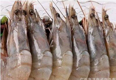 阳性！又是这种海鲜