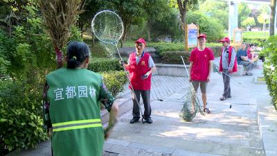 我市开展文明养犬专项整治行动
