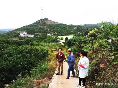 杨文华：精准扶贫“三帮三增”贴心人