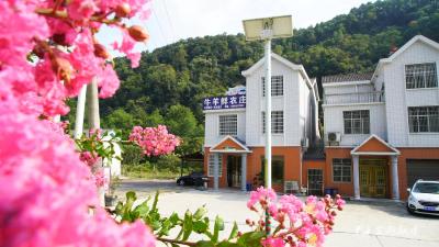 【诸事都宜 丰收宜都】以“绿”打底 绘就乡村振兴“丰收”画卷