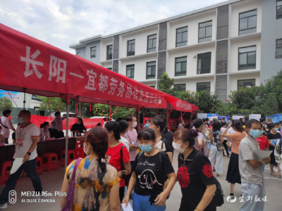量身定制送岗位！宜都与长阳“牵手”促就业