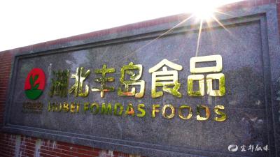 丰岛食品公司：主动转型融入国内循环   加快研发实现逆势增长